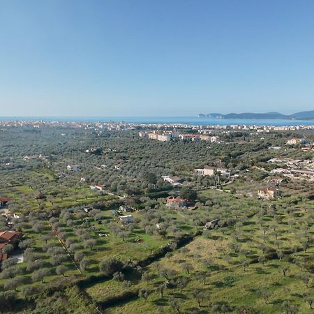 Villino Azul Apartment Alghero Ngoại thất bức ảnh
